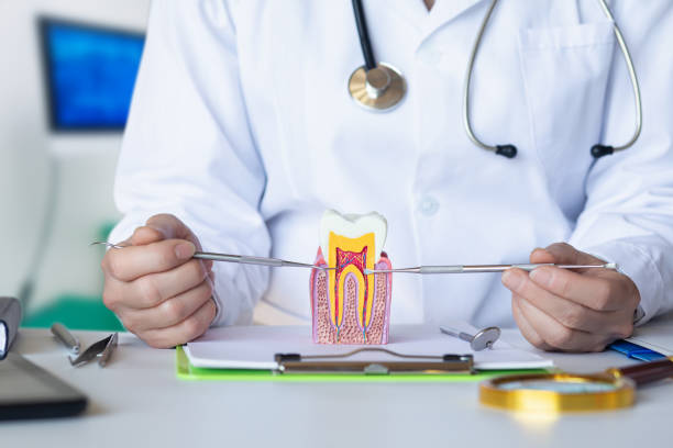Best Emergency Broken Tooth Repair in Midway, KY